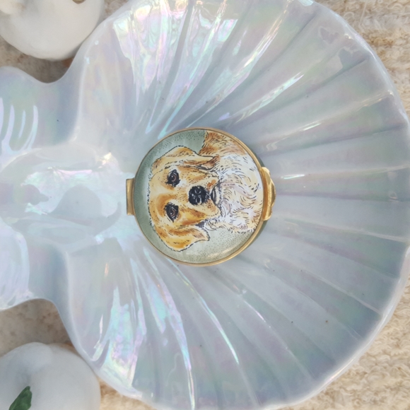 Golden Retiever sniff box - Picture 1 of 4